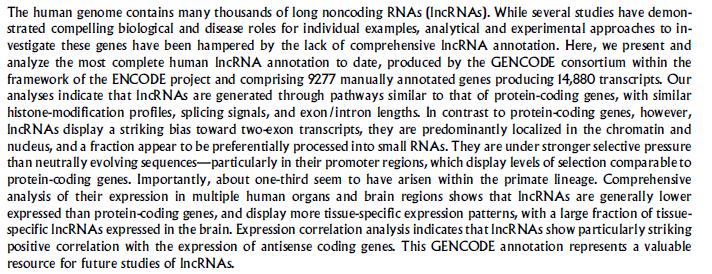 Taken together, these observations suggest a novel role for some unannotated RNAs as primary transcripts for the production of short RNAs.