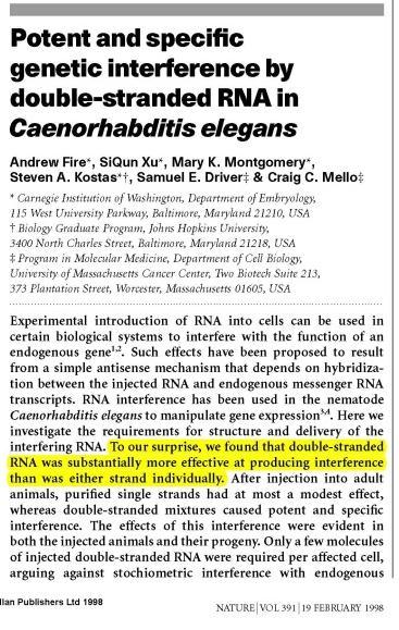 Small non-coding RNAs: mirnas Nel 1998