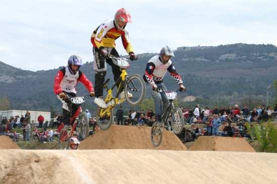 la BMX è la sigla abbreviata di bicycle motocross, è una bicicletta modificata per facilitare l esecuzione delle varie acrobazie.