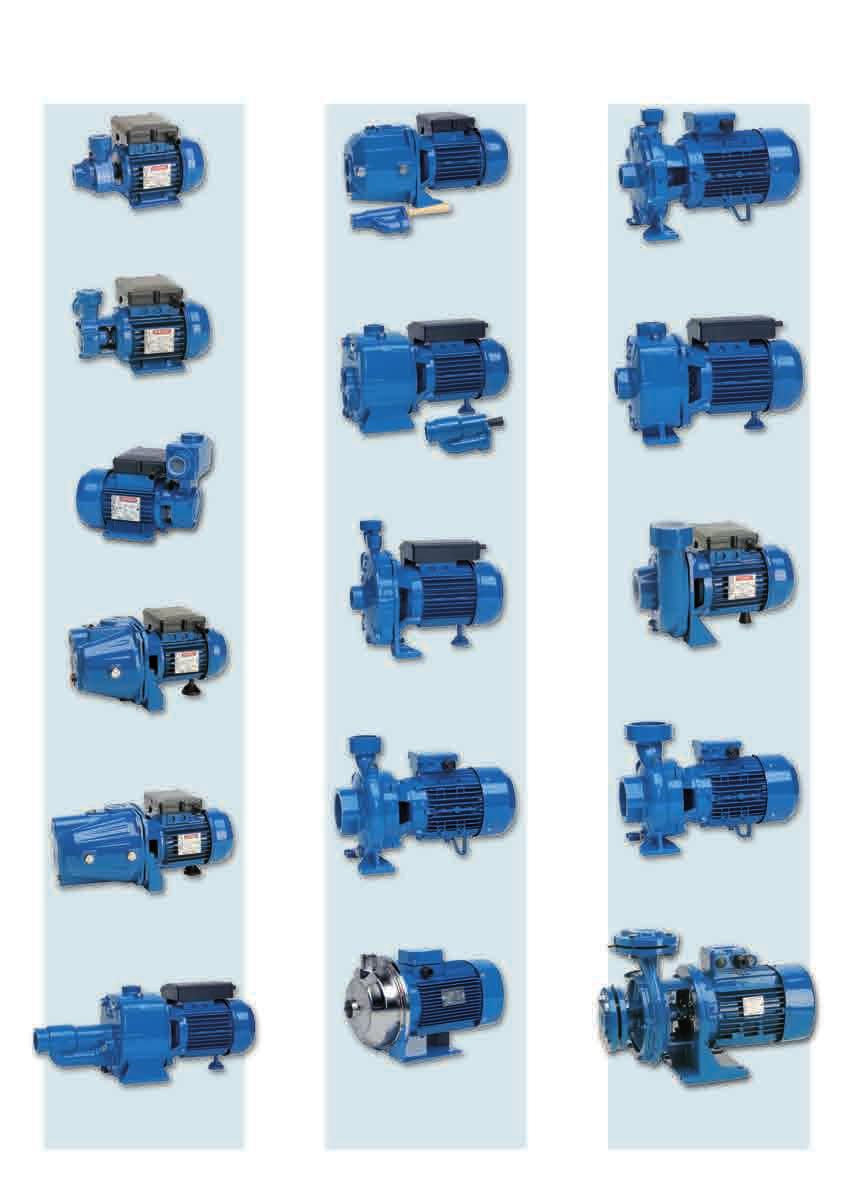 INDIE / INDEX KPM pag. -7 ELETTROPOMPE VOLUMETRIE VOLUMETRI PUMPS PM 75 / pag. 1- ELETTROPOMPE UTODESNTI PER SPIRZIONI PROFONDE SELFPRIMING PUMPS FOR DEEP SUTION M pag.