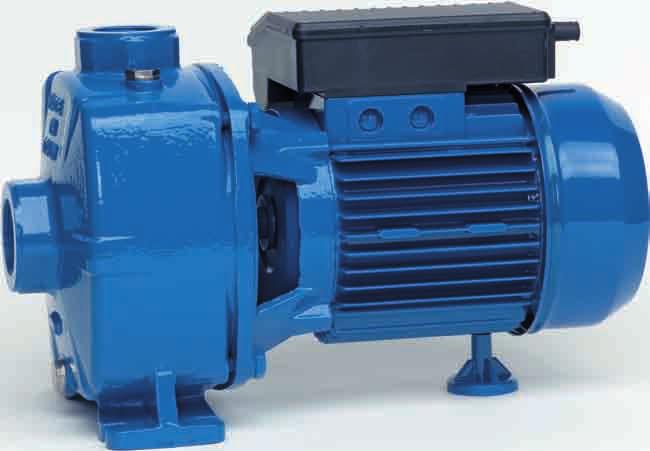 TWIN IMPELLER ENTRIFUGL PUMPS NM 1 DN E D F DIMENSIONI E PESI - DIMENSIONS ND WEIGTS DIMENSIONI mm - DIMENSIONS mm