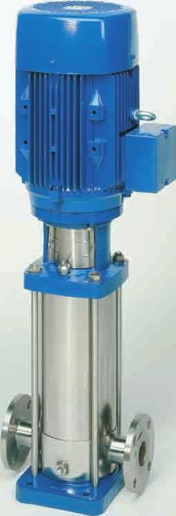 VERTIL MULTISTGE STINLESS STEEL PUMPS VS 1 D D1 1 G 1/ G 1/ Ø Ø 1 Ø 1 1 1 DN x Ø x Ø 1 Ø 7 DIMENSIONI E PESI - DIMENSIONS ND WEIGTS DIMENSIONI mm - DIMENSIONS mm DIMENSIONI DIMENSIONS mm P