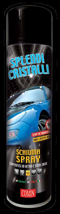 SHINING DASHBOARD This product revitalizes, nourishes and protects