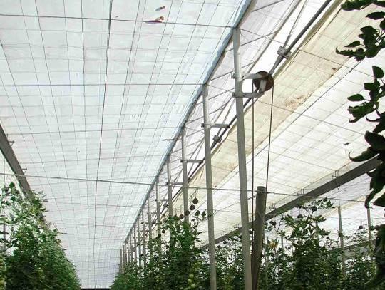 , 24 flap opening angle windward leeward Productivity of modern greenhouses with regulated zenital openings is higher Almeria parral greenhouses size about 1 ha, side openings Gestione della