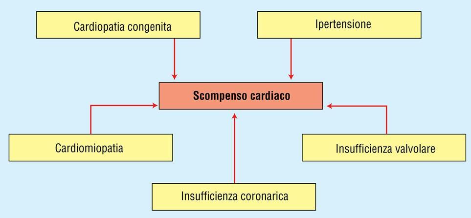 Dal punto di vista etiologico, diverse possono essere le cause di scompenso cardiaco: Cause responsabili (alterazioni strutturali congenite o acquisite a carico dei vasi coronarici e sistemici, del