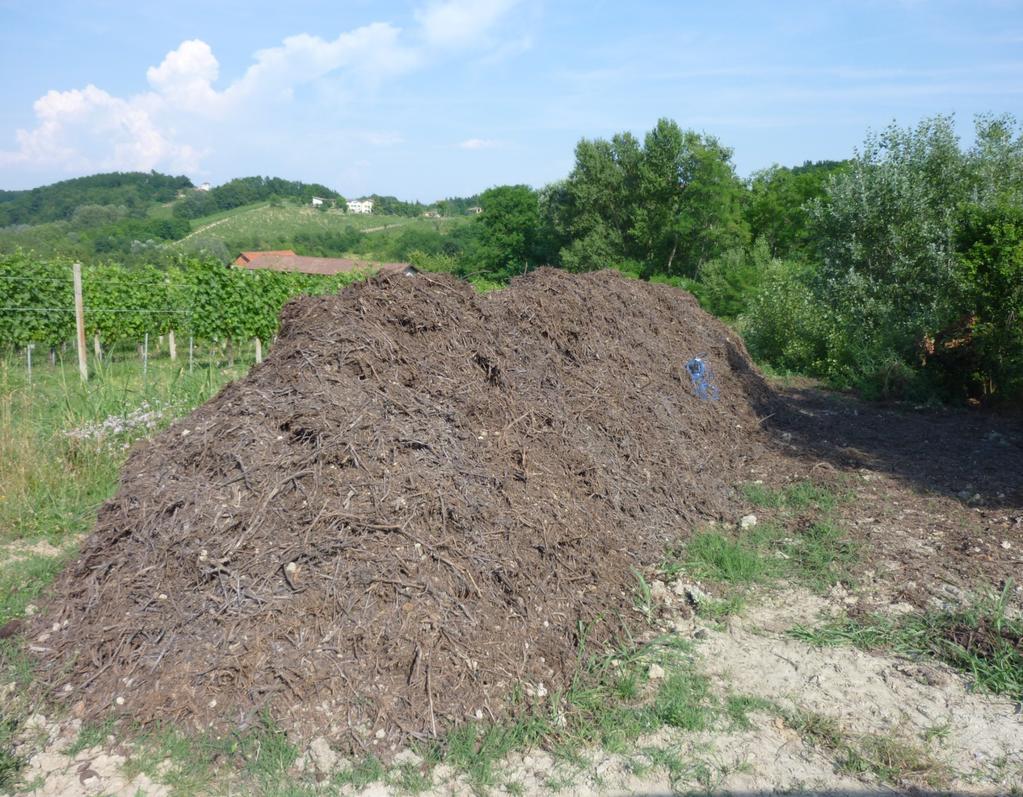 Compost e altre strategie utili per la sostanza organica del suolo Il Processo di Compostaggio Niccolò PAMPURO