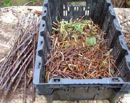 Frazione solida separata da reflui suini Frazione solida separata da reflui bovini Lettiera di avicoli Pollina Digestato suino e bovino Residui ricchi di