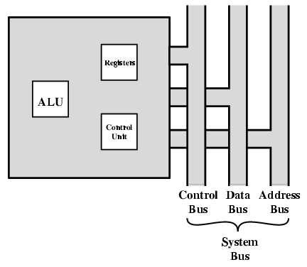 Struttura CPU Compiti CPU: Prelevare istruzioni Interpretare istruzioni Prelevare dati Elaborare dati Scrivere