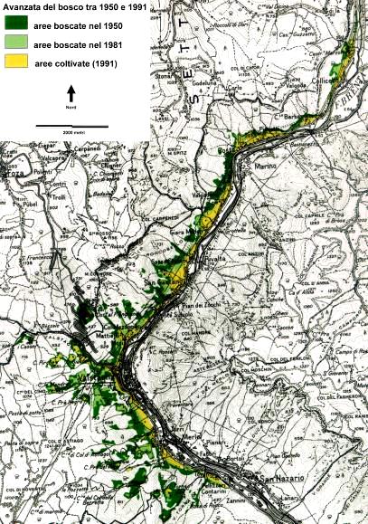 idotta ad ¼ la superficie coltivata (non ricoperta da bosco) tra 1950 e 2000 a Valstagna FINE DELLA