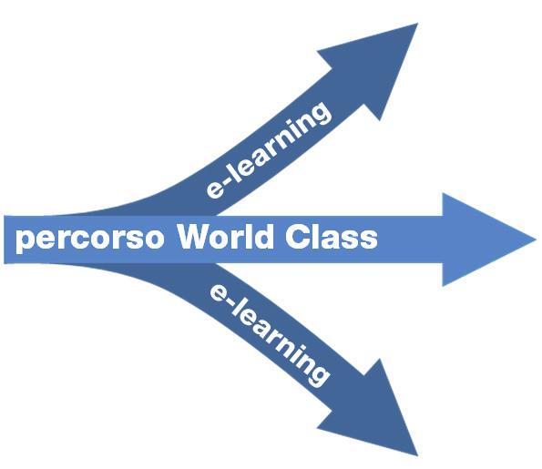 2 Perché World Class e-learning INFORMAZIONE DIFFUSA WORLD CLASS WEB ACADEMY ESPANSIONE DELLA CONOSCENZA RAGGIUNGIMENTO DEL LIVELLO DI