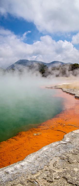 metri. Da lì si potrà ammirare una vista spettacolare a 360 gradi di tutta la città e delle sue bellissime baie tra cui Waitemata e Manukau. Al termine rientro in hotel.