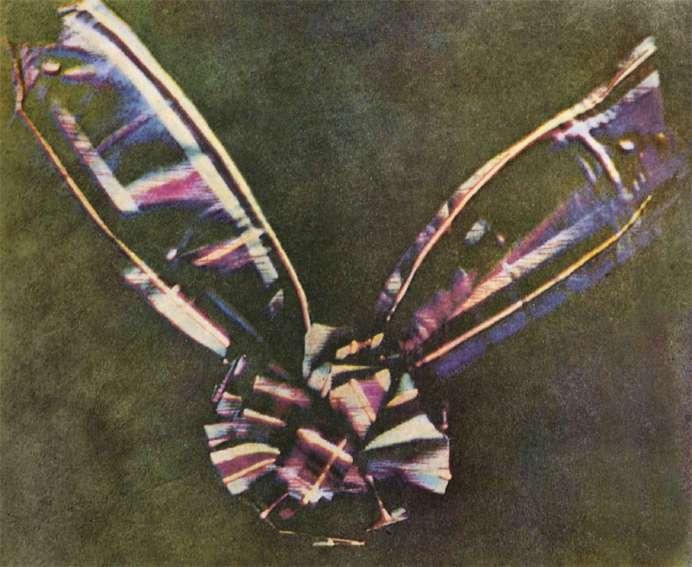 Il colore? La prima fotografia a colori è stata realizzata dal fisico matematico, James Clerk Maxwell e fu mostrata ad una conferenza nel 1861 alla "The Royal Institution".