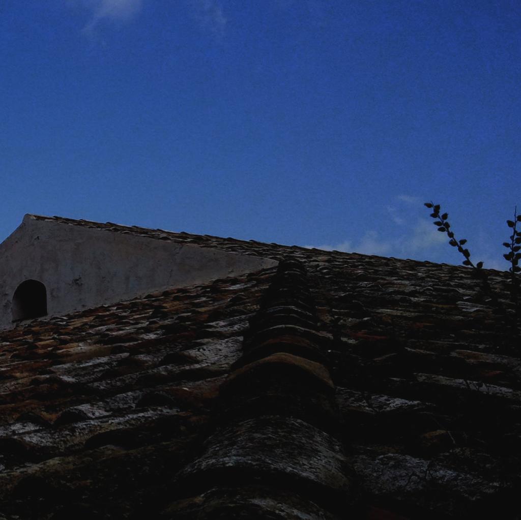 Premessa ARPA Sicilia nello svolgimento dei propri compiti istituzionali, sintetizzabili nel perseguimento della migliore qualità dell ambiente naturale, pone l attenzione all interazione con la