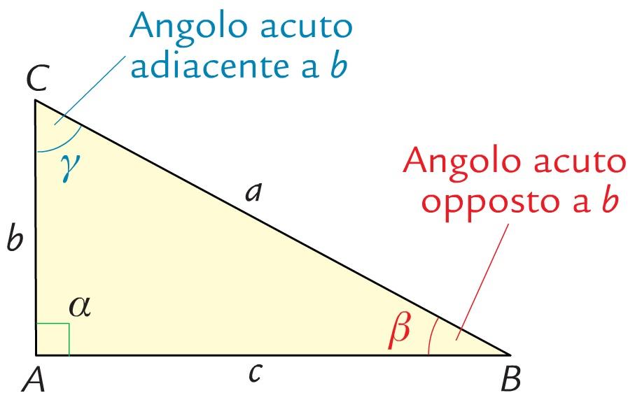 Relazioni fra i triangoli rettangoli Da si ricava Secondo teorema sui triangoli rettangoli tan β = b c = 1 tan γ = cot γ b = c tan β = c cot γ In ogni triangolo rettangolo, un cateto
