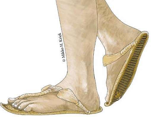 13:5 Nelle terre orientali, l uso di sandali aperti rendeva necessario lavarsi i piedi frequentemente.