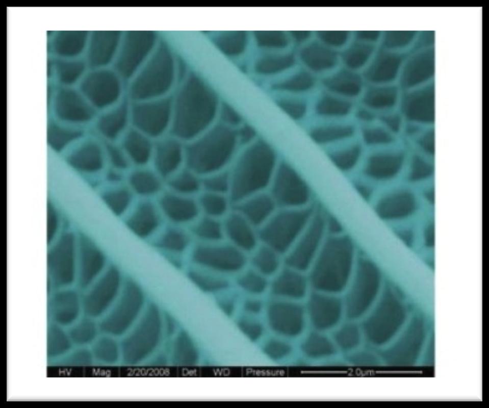 a Dye Wang Zhang et al. Chem.