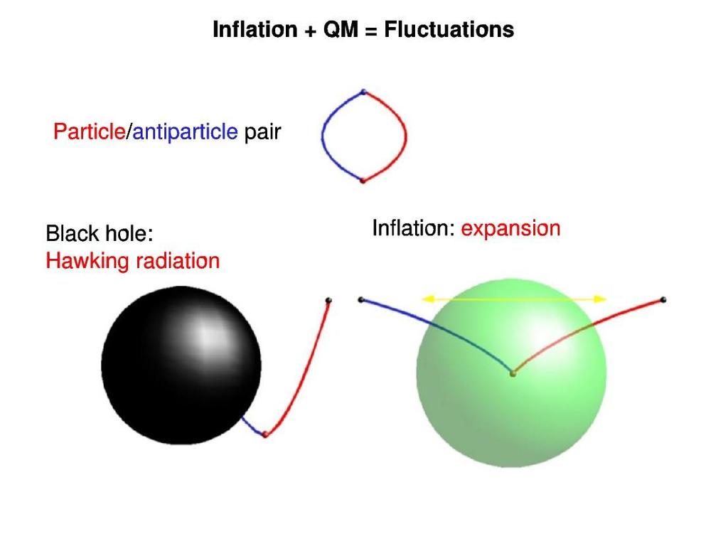 di un nuovo campo congetturato (inflatone) su scala microscopica allargate dall inflazione sono all origine