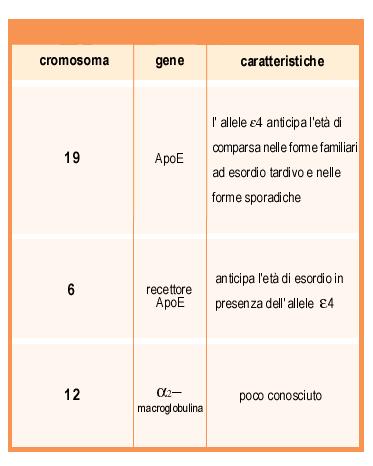 Eziopatogenesi: teoria genetica Per le forme sporadiche, invece, sembrano essere coinvolti il cromosoma 19, il 6 ed il 12 Sul cromosoma 19 è