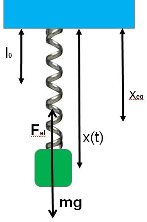 Moto elastico ma(t) = F el + mg a(t) = 0 F el = mg F el =