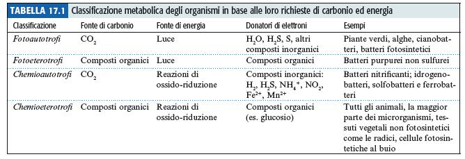 Classificazione degli organismi in base al tipo di metabolismo Le principali vie metaboliche sono molto simili in tutti gli organismi viventi.