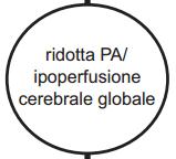 Fisiopatologia Linee guida per la diagnosi e il trattamento della sincope 2009 Task