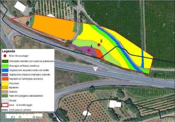 vegetazionali e punti di