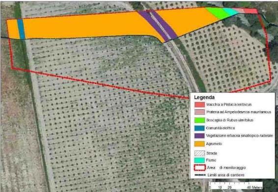 CORSO D OPERA STAZIONE VF_04 L area di controllo ambientale è più o meno speculare alla precedente e si sviluppa soprattutto sulla destra del fiume Coscile.