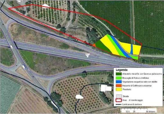 CORSO D OPERA Figura 2 Carta della vegetazione Singoli individui vegetali di pregio Sono stati selezionati 3 esemplari arborei all interno dell area di controllo ed esterni alla fascia di cantiere.