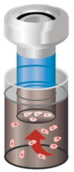 Il processo ThinPrep