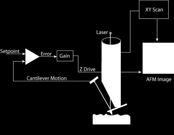 Details of Parts of AFM Feedback