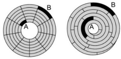 Struttura logica del disco magnetico 3 Disco CAV a tracce concentriche Disco