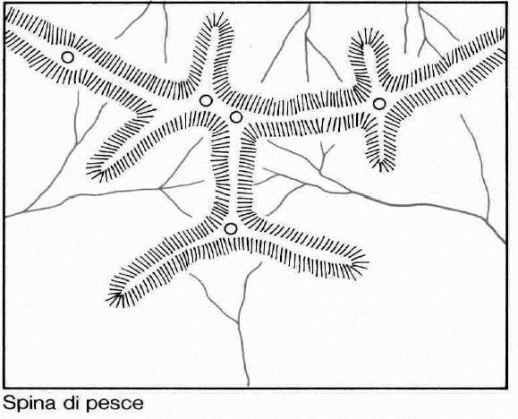 Rappresentazione grossolana del rilievo: i monti sono