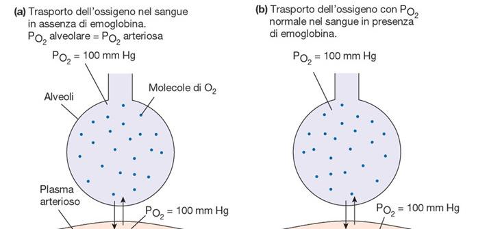 K= 25 cm 3 /L atm Contenuto