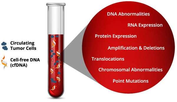 Liquid biopsy: potential applications Use of liquid biopsy for treatment strategy in various stages of cancer EARLY DETECTION Diagnosis of cancer or pre-cancer earlier through screening.