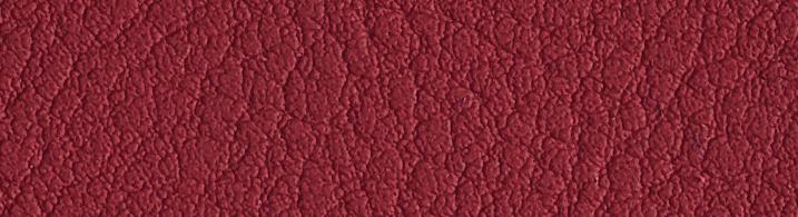 4001 Trasparente - Natural F-TR *) Valencia is an ecoleather