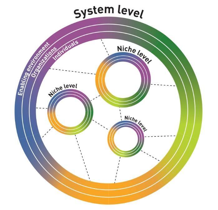 From Innovation Niches to