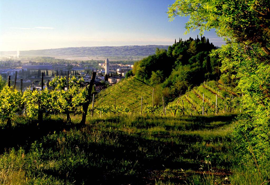 VALDOBBIADENE TERRA