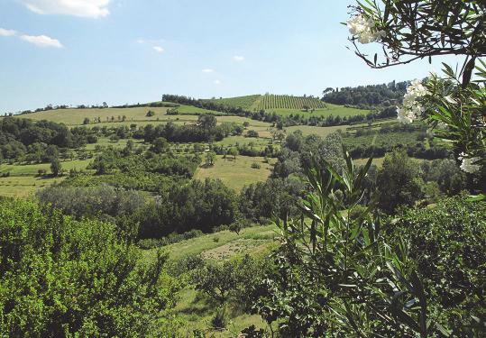 originali prospettive sull area urbana, oltre che l opportunità di un quotidiano contatto con la natura.