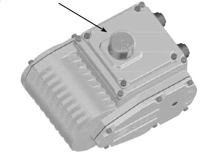 continua direct current : 24V Indicatore locale di posizione Local position indicator Caratteristiche e condizioni di utilizzo : - Classe di protezione IP65 o IP67 - Temperatura da - 25 a + 60 C -