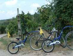 Ecologico Tours fornisce biciclette Ibride.