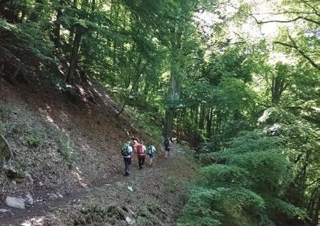 ) media (E) 3 ore circa 500 m Il percorso: da Lanzo Intelvi (CO), in località Crotto Dogana, seguiamo il Percorso delle trincee, realizzato da ERSAF nella Foresta Regionale Monte Generoso, per