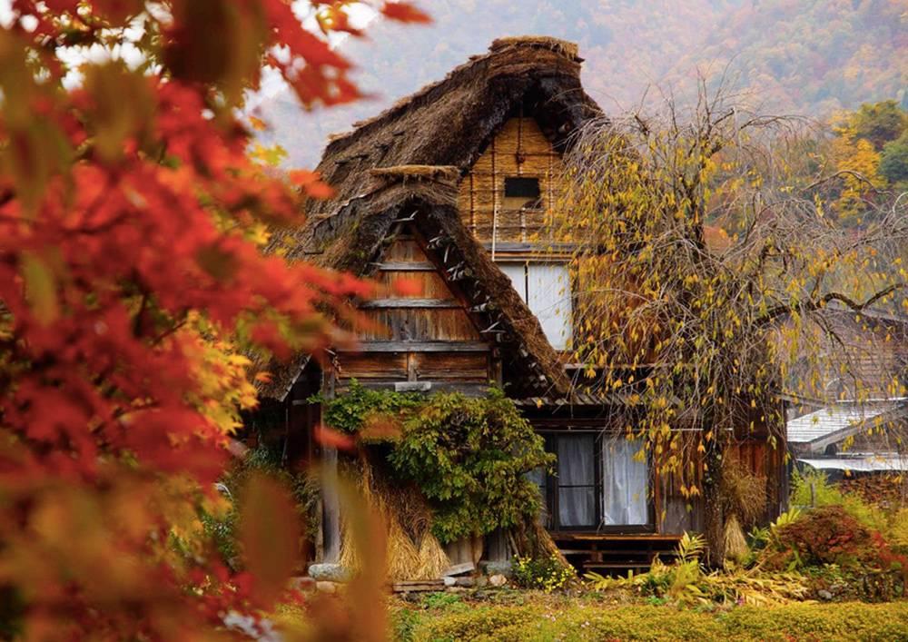 SHIRAKAWA-GO Lo storico villaggio agreste di Shirakawago diviene patrimonio Unesco nel 1995 e da allora vedere crescere il ﬂusso di turismo.