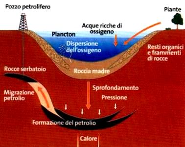Formazione del Petrolio Ad alcuni chilometri di profondità, a temperature fra gli 80 e i 150, la
