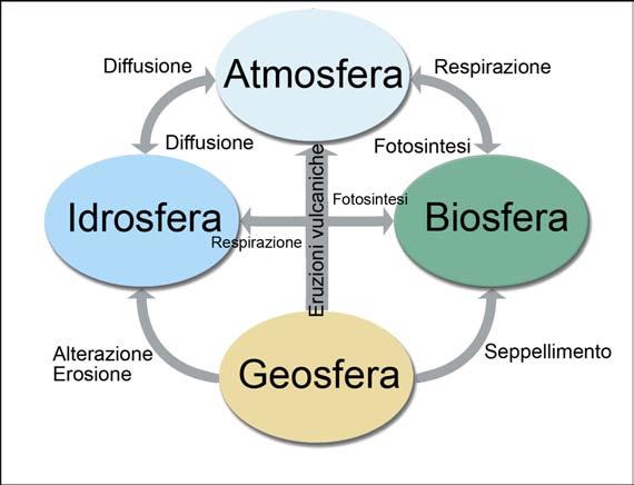 temperatura sulla Terra Ciclo del Carbonio Fotosintesi CO 2 + H 2