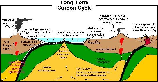 Ciclo del Carbonio a lungo termine Il ciclo del carbonio a lungo termine controlla il contenuto di CO 2 e O 2 in atmosfera nei tempi geologici.