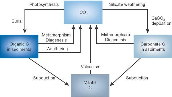 Ciclo del Carbonio a lungo termine R.A.