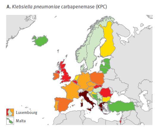 Carbapenemase-producing Enterobacteriaceae in Europe: assessment by