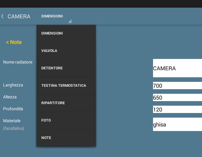 Nella parte superiore della maschera è disponibile un apposito menu a discesa in cui sono riportati i comandi grazie ai quali si possono attivare le differenti schede citate sopra.