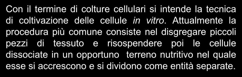 dividono come entità separate.