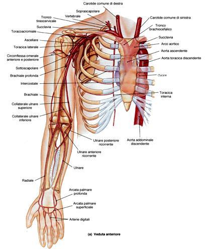 Schema di riferimento per